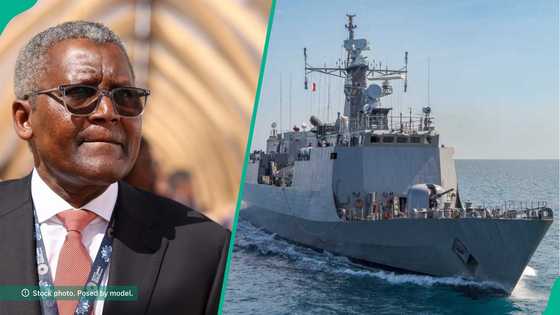 Dangote plans to acquire ships after failing to find vessels for cement exports