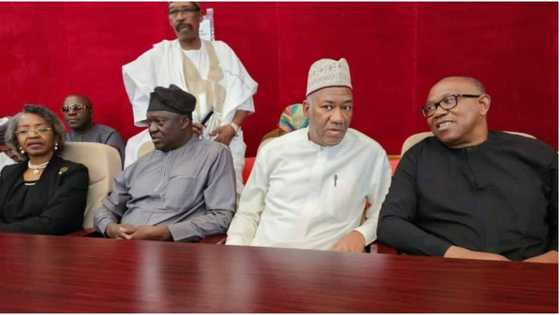 Tribunal: Peter Obi tenders blurred IReV evidence before court