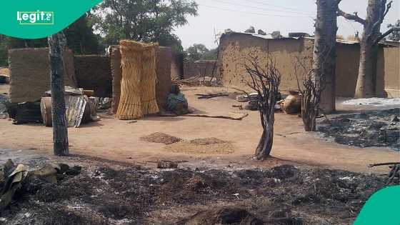 Tashin hankali: Ƴan bindiga sun kashe mutane 50, sun sace mata da yara a Zamfara