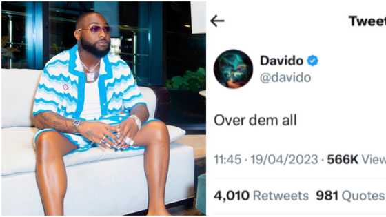 “Over dem all”: Davido breaks silence amid rumours of him allegedly expecting another child with baby mama