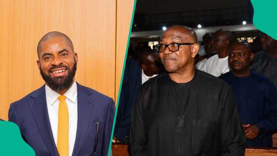 Peter Obi's ally speaks out as Adeyanju claims opposition leader offered him money during campaign