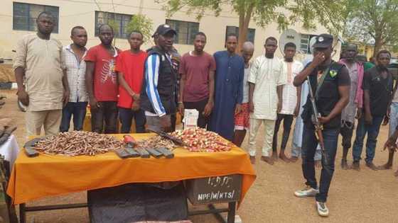 Katsina: 'Yan sanda sun kama shu'umin dan bindiga, Idi Dila 'Sarkin wayo'