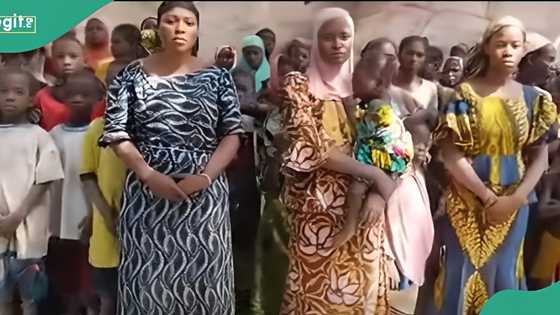 Terrorists release video of 176 abducted Kwara residents as families beg gov't for rescue