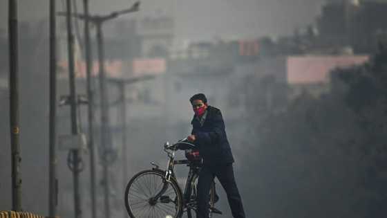 Heatwaves and wildfires to worsen air pollution: UN