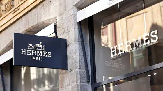 Hermes defies US tariffs as sales grow