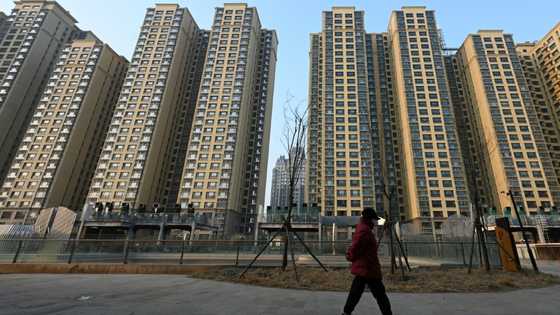 Hong Kong, Shanghai extend surge as China optimism boosts markets