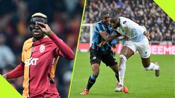Victor Osimhen hails Nigeria-eligible forward for greatness following impressive form with Belgian club