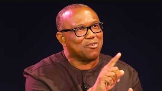 'Zaka sha mamaki' Peter Obi ya maida zazzafan martani ga Atiku Abubakar kan zaɓen 2023