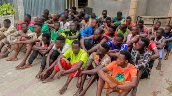 Rusau: Dubu ta Cika, 'Yan Sanda Sun Sake Kwamushe Mutane 57 Bisa Zargin Dibar Ganima