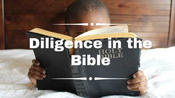 Stories of diligence in the Bible: passages, Bible verses, examples