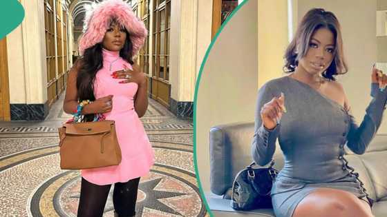 "From Aba store": Man accuses Sophia Momodu of buying fake Hermes bag, shares chat with company