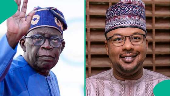 "Ba Legas ba ce"; Tsohon 'dan takarar gwamna ya fadi abin da Tinubu ba zai iya a Kano ba