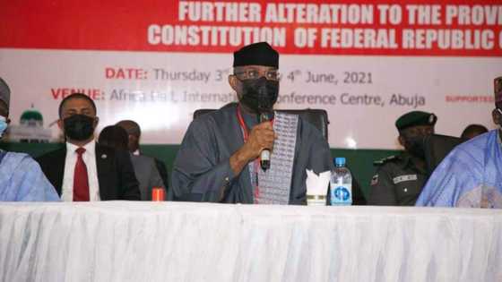 Senator Omo-Agege finally speaks on possibility of having a new constitution
