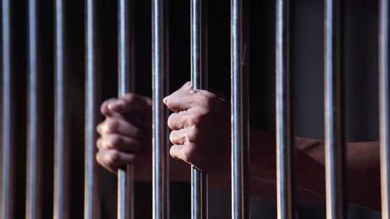 Gidajen yari za su cika makil idan aka ce za a kama mutane saboda Twitter - Ozekhome SAN