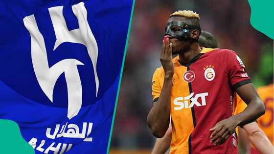 Osimhen's camp tells truth why striker turned down massive offer from Al Hilal