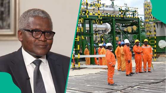 Dangote sounds alarm over oil mafia, exposes theft of $82 million worth of items at refinery