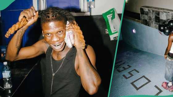 "Happy birthday son of plumber": Seyi Vibez flaunts customised swimming pool as he adds new age, pics trend