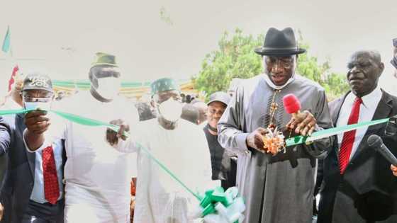 Udom Emmanuel's health care investments critical to national security, says Jonathan