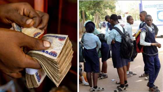 From N45,000 to N100,000: FG raises school fees of Unity Schools