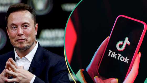 TikTok finally addresses report of selling company to Elon Musk