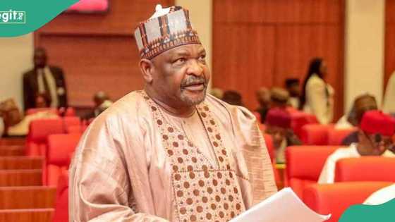 Sanata ya yi kumfar baki a majalisa bayan janye masa 'yan sanda