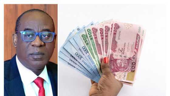 CBN spent N74 billion on naira redesign as Naira nears N700 per dollar