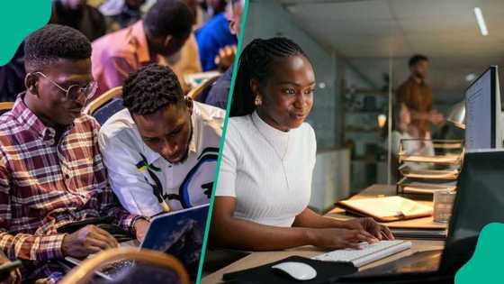 FG targets 50,000 youths across 7 states for training in AI, cybersecurity, fashion design, others