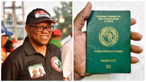 Japa: Peter Obi Speaks on Plans to Improve Ranking of Nigerian Passport, Woo Investors