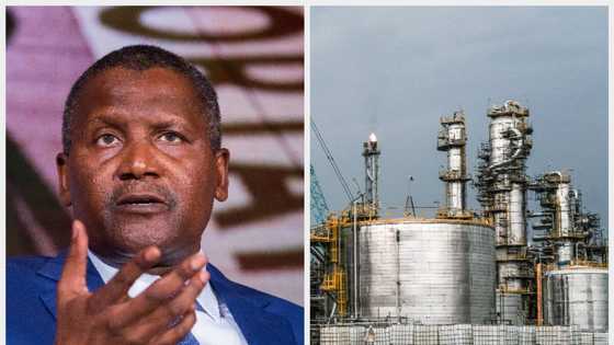 Dangote group reacts to report its refinery is set to begin operation on January 2023