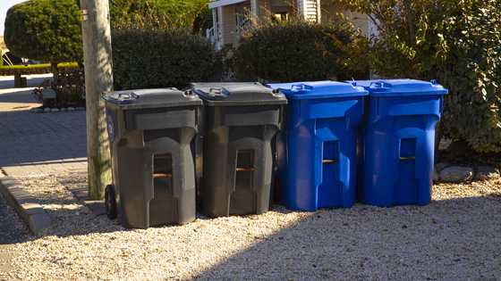 My neighbor dumped trash by my house to avoid fees — So I taught her a lesson