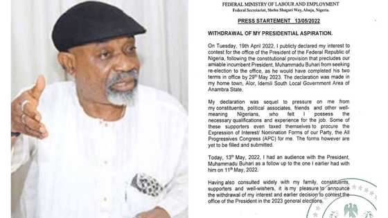 Days after Buhari's order, minister withdraws from presidential race