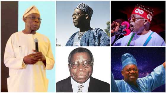 Names of Obasanjo's kinsmen with presidential ambition that former president never supported and why