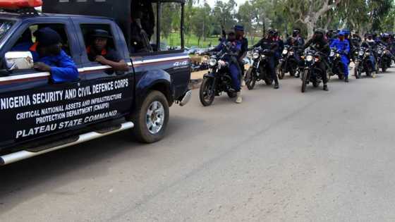 Most wanted: Security operatives arrest 40-year-old notorious bandit