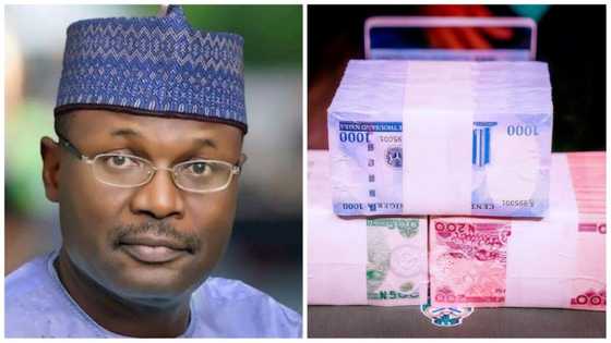 Naira Scarcity: INEC Highlights Commission's Biggest Fear During Election, Calls for CBN's Intervention