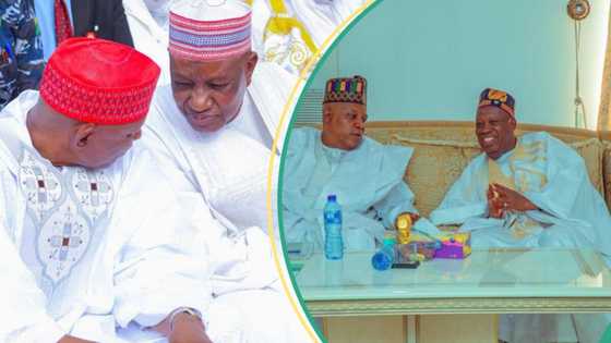 Watanni 2 da maganar komawa APC, Abba ya dauko binciken Ganduje da iyalinsa