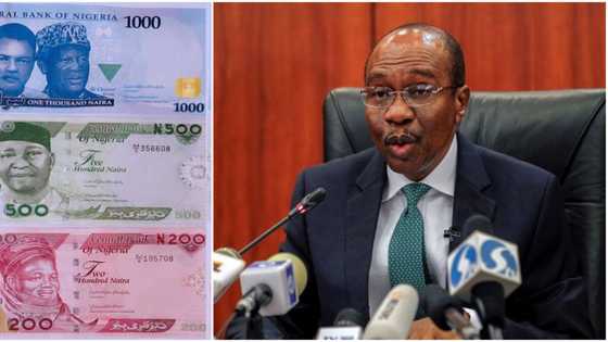 New twist as Ohanaeze, Yoruba Youth Council back CBN’s withdrawal limit policy, reveals fresh position