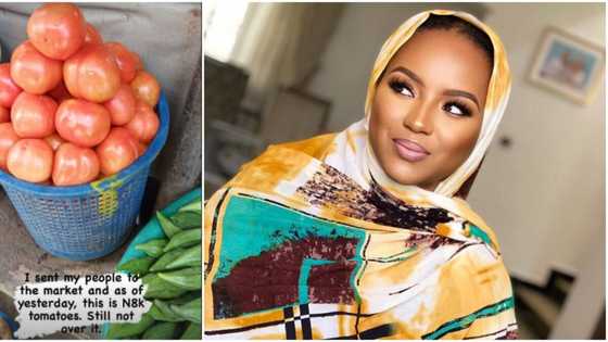 “On your mandate”: Reactions as billionaire daughter Hauwa Indimi laments after buying small tomatoes for N8k