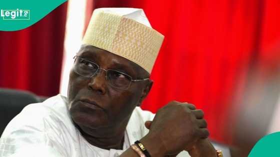 Atiku's Defection: Wike's aide blasts former vice president for exiting PDP: "He'll dump ADC again"