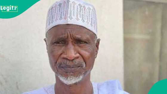 Gwamnatin Kano ta yi rashi, fitaccen dan siyasa kuma tsohon shugaban APC ya rasu