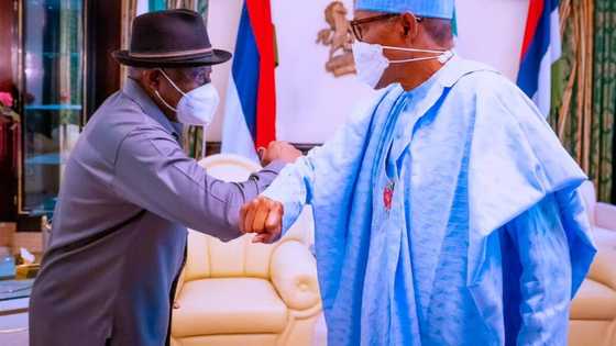 Yadda yunkurin zawarcin Jonathan, a ba shi takara a APC ya sha ruwa tun kafin a kai 2023