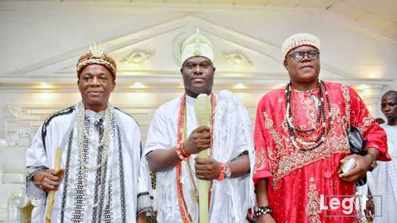 Ooni of Ife: "We are all fools" - Opinion by Humanist Leo Igwe