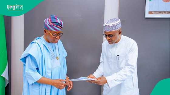 NPA report: Nigeria’s ports record historic growth as export-led trade expands