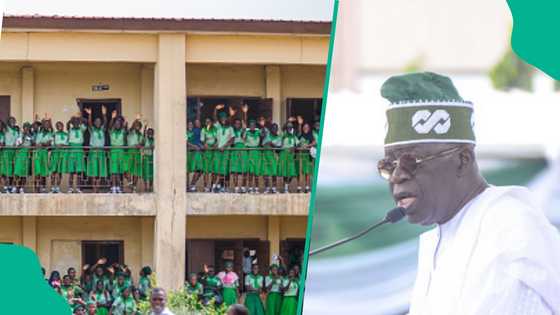 Gwamnatin Tinubu ta yi karin haske kan batun sayar da makarantun sakandare