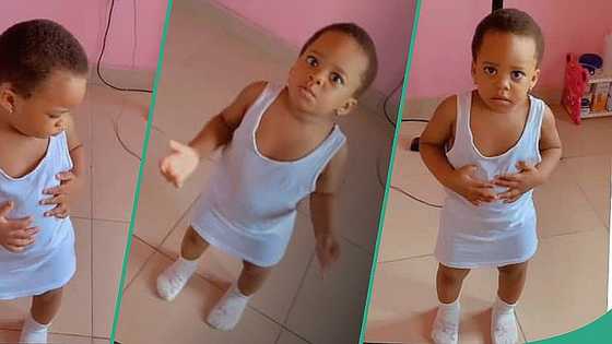 Little girl speaks gibberish to her mum in funny video, people react
