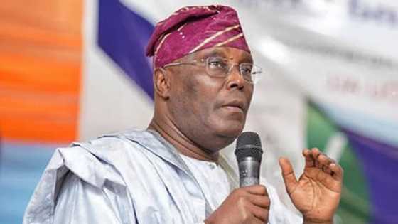 Shugaban Kasa a 2023: Idan Na Hau Kujerar Mulki Matasa Za Su Sha Romon Dadi, Atiku Abubakar