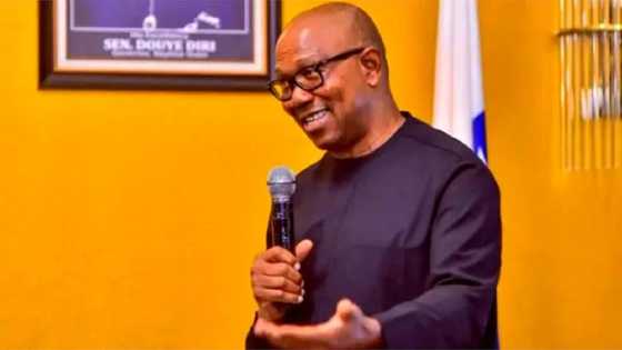 Peter Obi: Abin Da Zan Yi Bayan Na Lashe Zaben Shugaban Kasar Najeriya A 2023