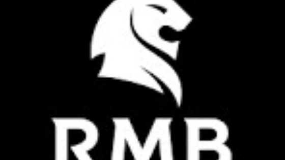 RMB Latitudes Art Fair announces Nigeria Focus 2026