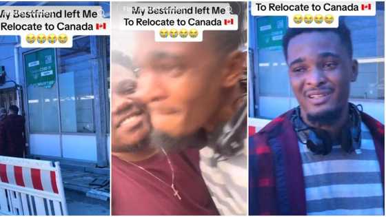 Video shows emotional moment Nigerian man followed best friend to airport as he relocates to Canada