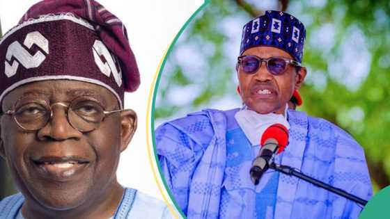 Tinubu mentions 1 promise Buhari kept after leaving office