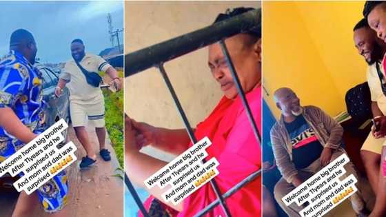 Nigerian mum in tears as son who travelled abroad 11 years ago finally returns home, video melts hearts